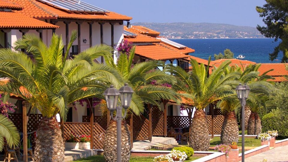 sitonija_blue_dolphin