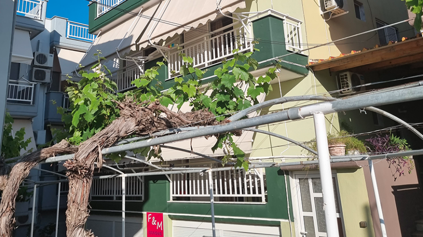 rubicon-grcka-sarti-beach-fm