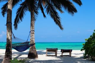 Safari u Tanzaniji i odmor Zanzibar